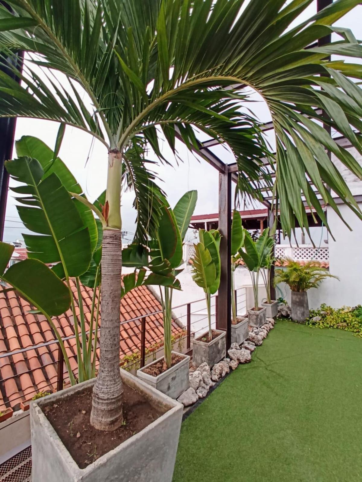 Habitacion Recien Restaurada En Getsemani Картахена Экстерьер фото