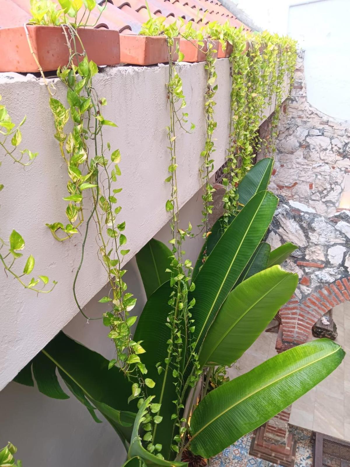 Habitacion Recien Restaurada En Getsemani Картахена Экстерьер фото